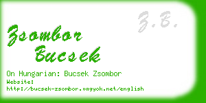 zsombor bucsek business card